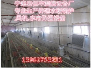 养殖升温锅炉与鸡舍采暖 宁津县恒丰温控设备厂的专业之选